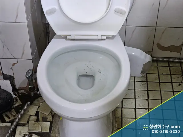 바닥 타일이 깨진 화장실의 변기